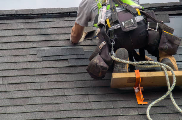 Best Chimney Flashing Repair  in Staples, MN