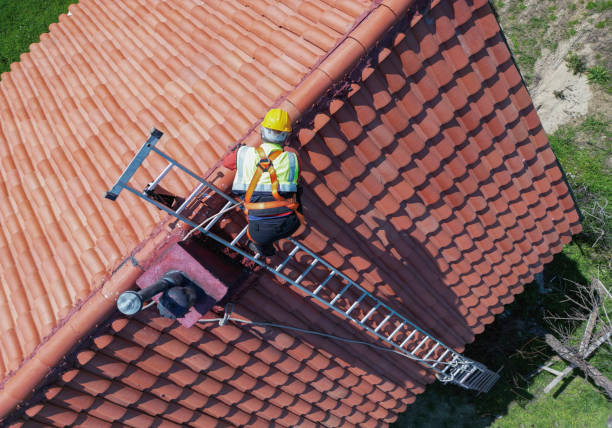 Best Storm Damage Roof Repair  in Staples, MN