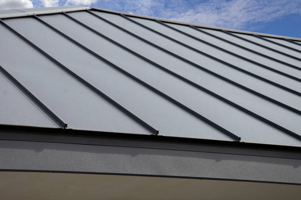 Best Solar Panel Roofing Installation  in Staples, MN
