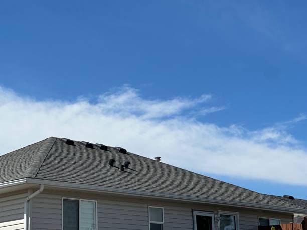 Staples, MN Roofing Service Company